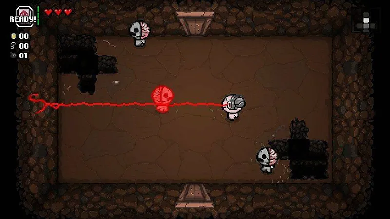 The Binding of Isaac: Rebirth