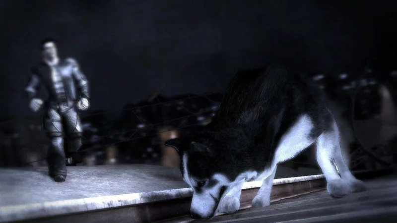 Nový Dead to Rights tento rok