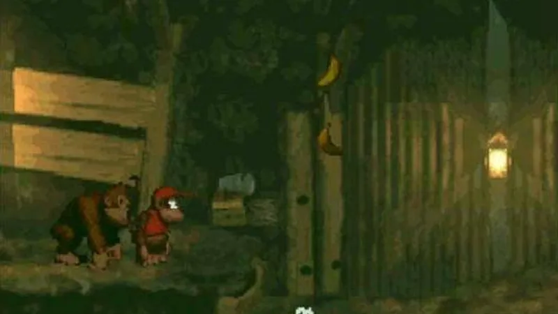 Donkey Kong Country