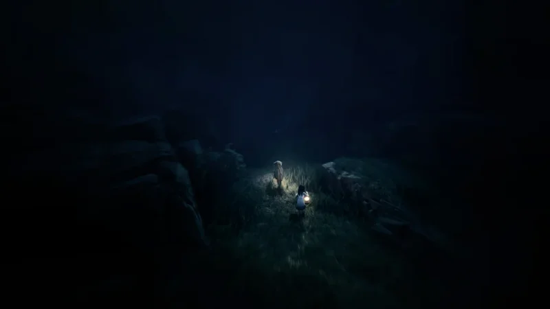 Hra Reanimal dostane Friend Pass, nemusí být dostupný hned v den vydání