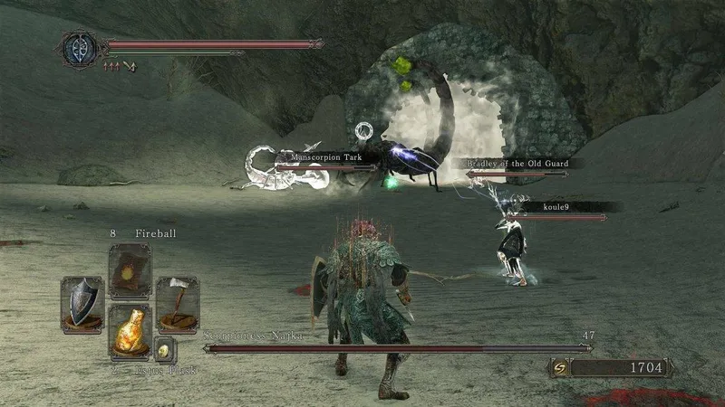 Dark Souls 2: Scholar of the First Sin