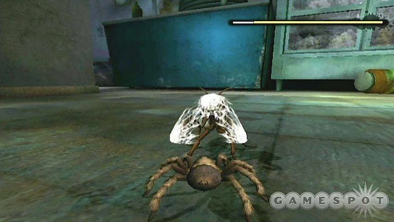 Big N-Live #6 - Deadly Creatures