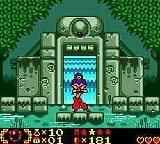 Shantae - Summer Safety Video