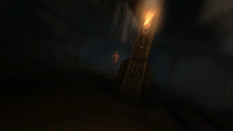 Amnesia Collection