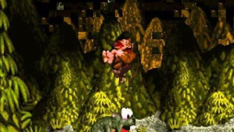 Donkey Kong Country