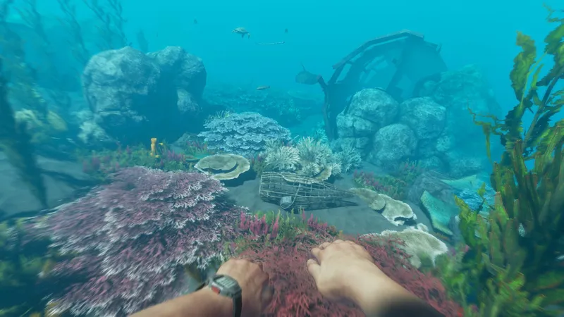 Oznámena hra Stranded Deep 2, bude na ní pracovat nově založené studio North Beach Games Prague