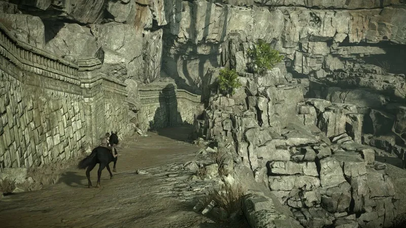 Shadow of the Colossus (PS4)