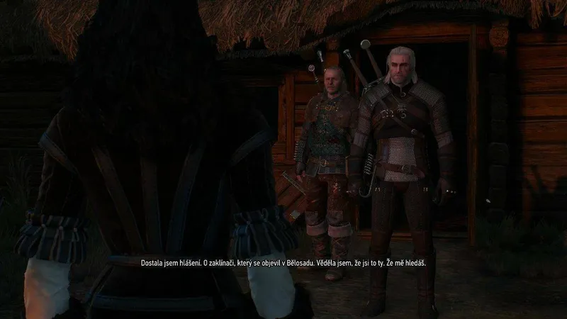 Zaklínač 3: Divoký hon