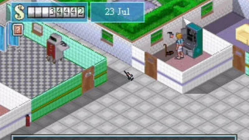 Theme Hospital