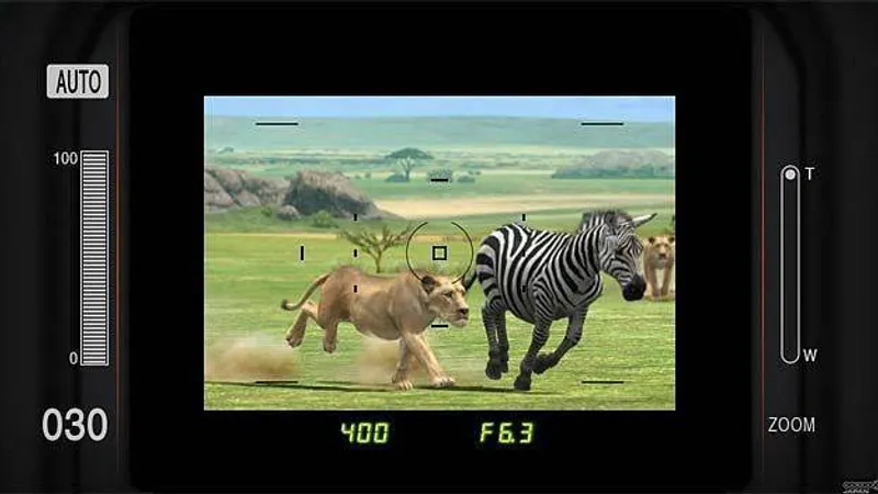 Afrika vyjde v Evropě