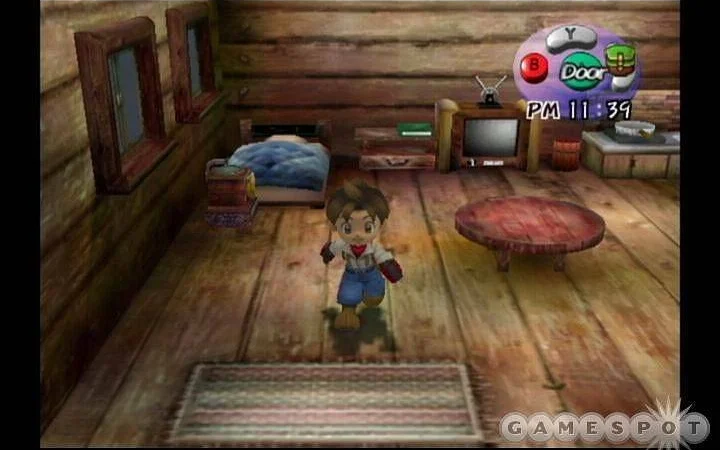 Pro PS4 se chystají dvě starší Harvest Moon hry