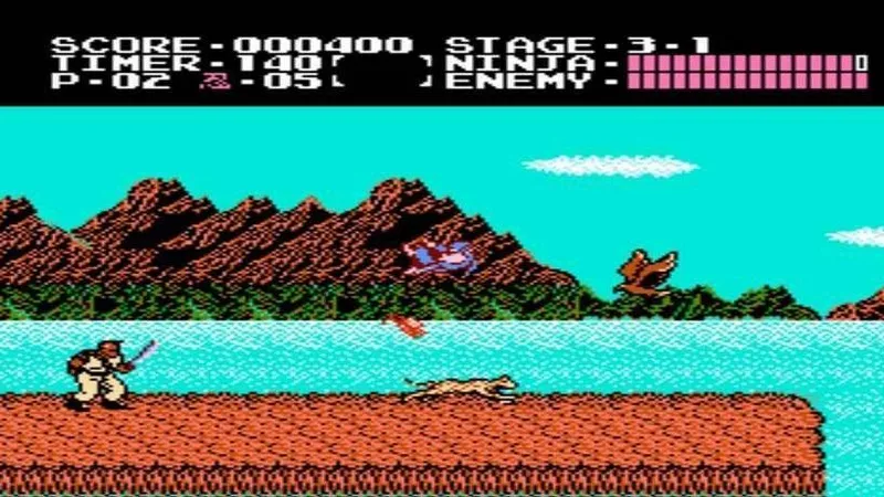 Ninja Gaiden