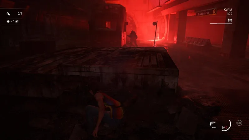 The Last of Us Part II Remastered