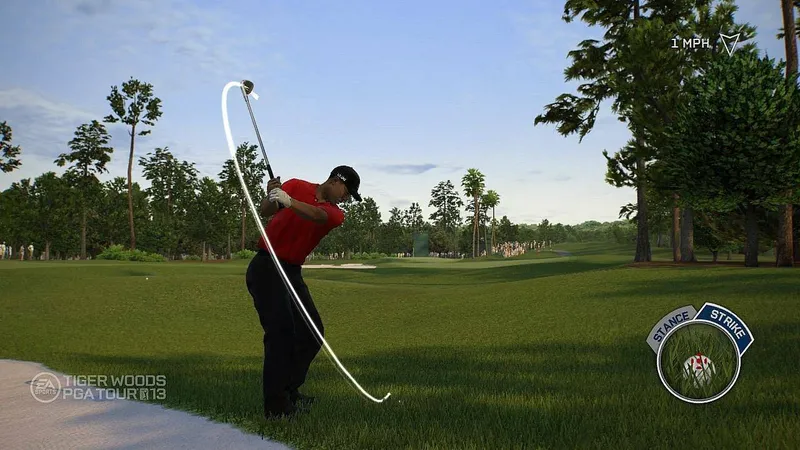Tiger Woods PGA TOUR 13