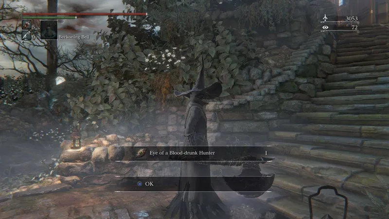 Bloodborne: The Old Hunters