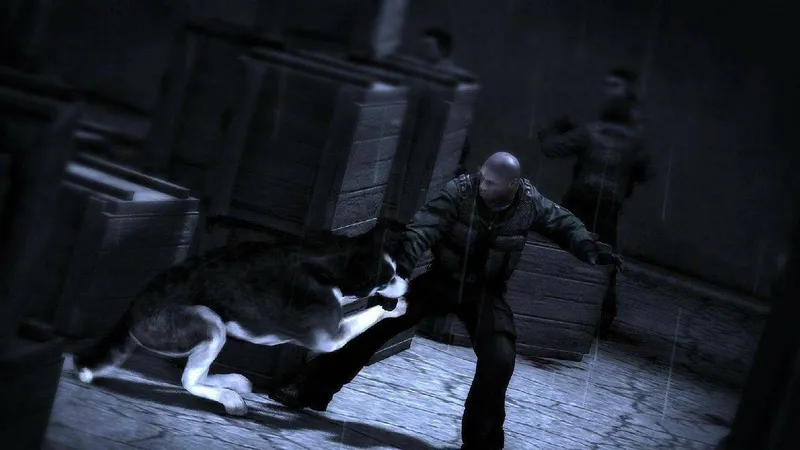 Nový Dead to Rights tento rok