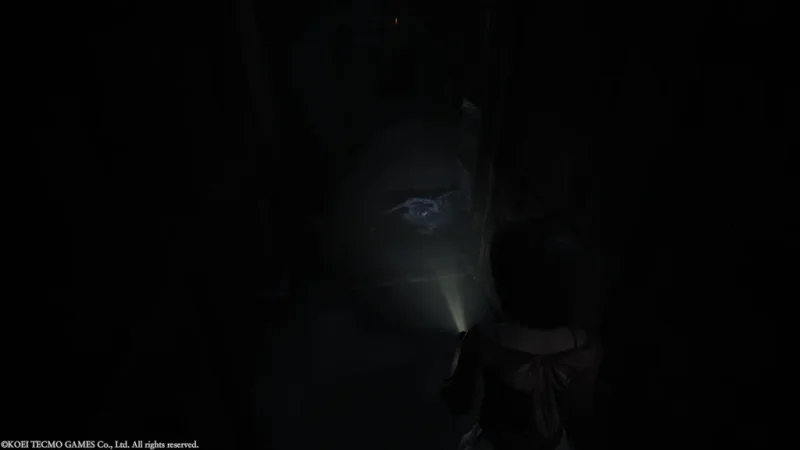Fatal Frame II Crimson Butterfly Remake