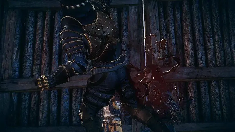 Zaklínač 2: Vrahové králů