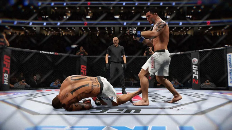 UFC 2