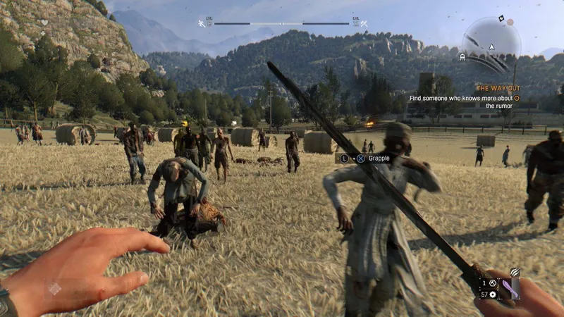 Dying Light: The Following