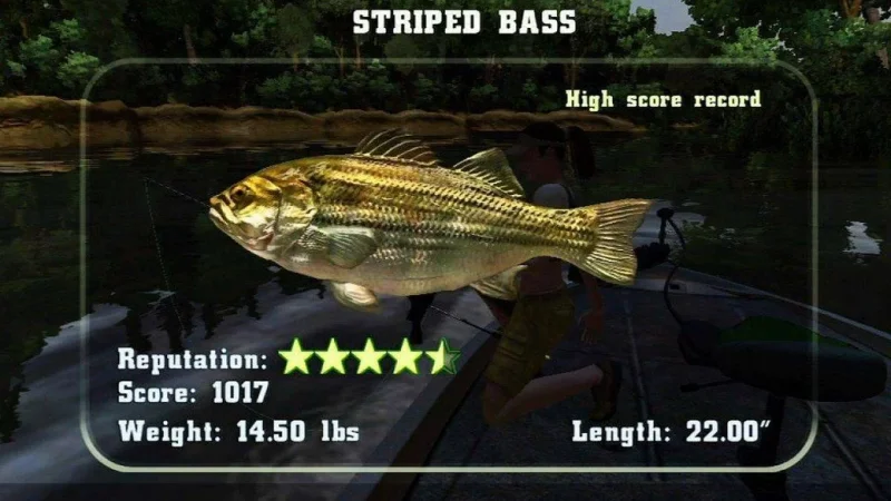 Rapala Fishing Frenzy 2009