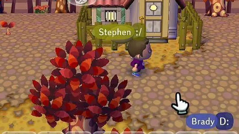 Animal Crossing: City Folk