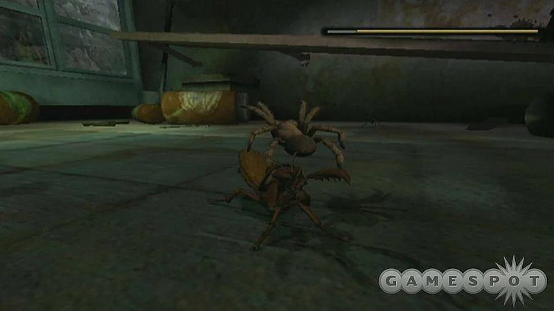 Big N-Live #6 - Deadly Creatures