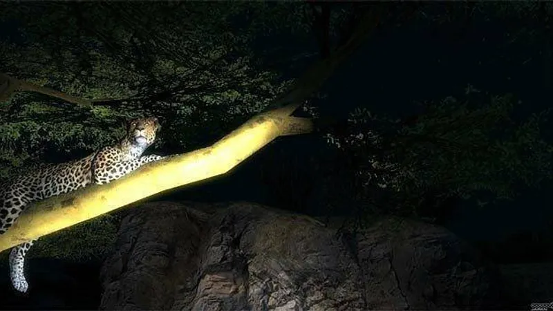 Afrika vyjde v Evropě