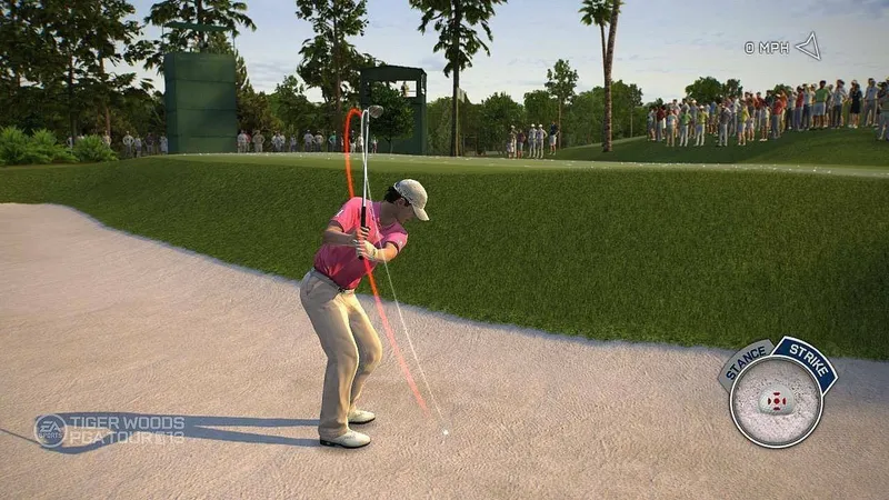 Tiger Woods PGA TOUR 13