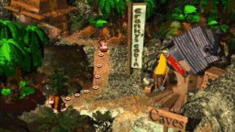 Donkey Kong Country