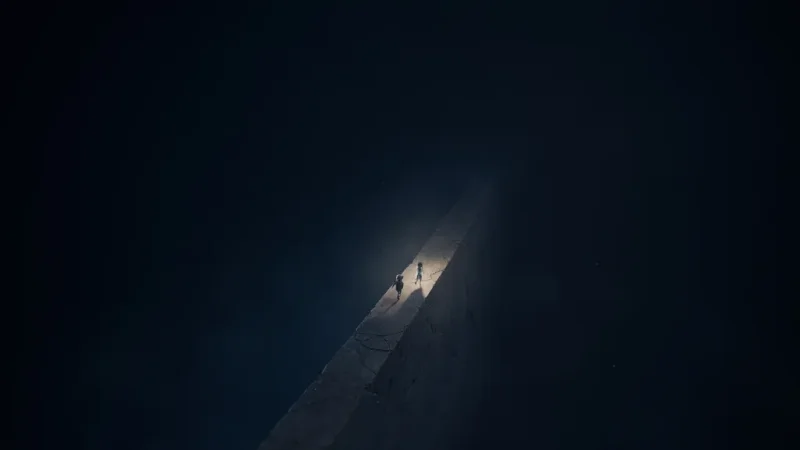 Hra Reanimal dostane Friend Pass, nemusí být dostupný hned v den vydání