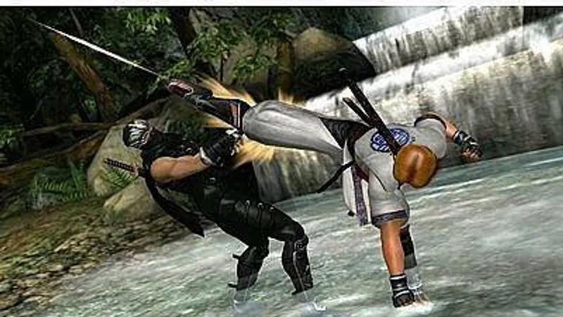 Dead or Alive Dimensions