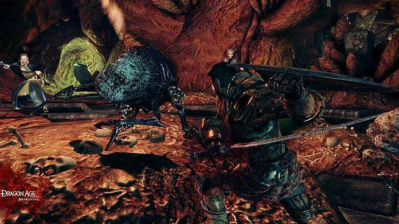 Dragon Age: Origins - Awakening