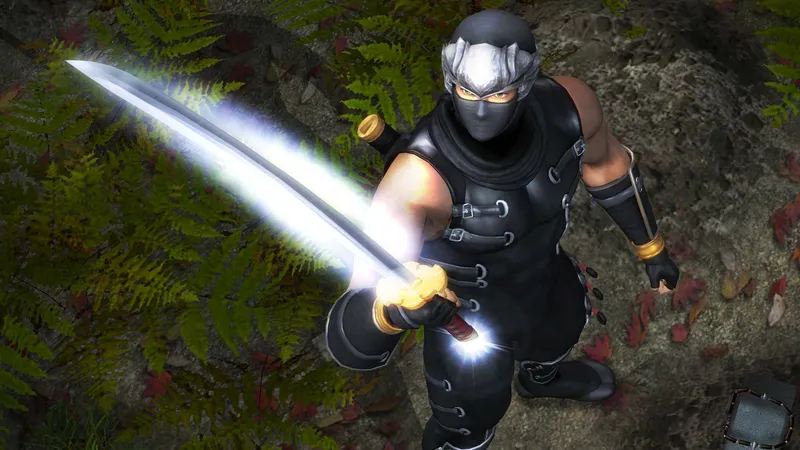 Studio Team Ninja upřesňuje informace o rebootech Ninja Gaiden a Dead or Alive