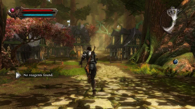Kingdoms of Amalur: Re-Reckoning