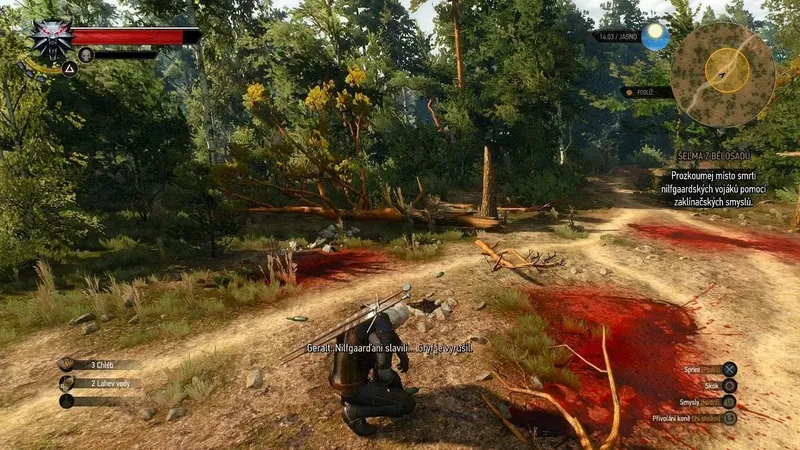 Zaklínač 3: Divoký hon