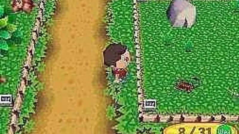 Animal Crosing: Wild World