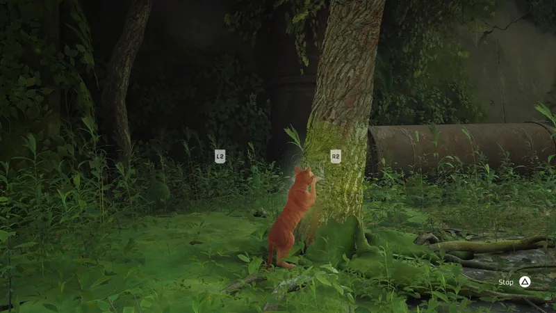 Prvních 25 minut z hraní kočičí dobrodružné hry Stray (PS5)