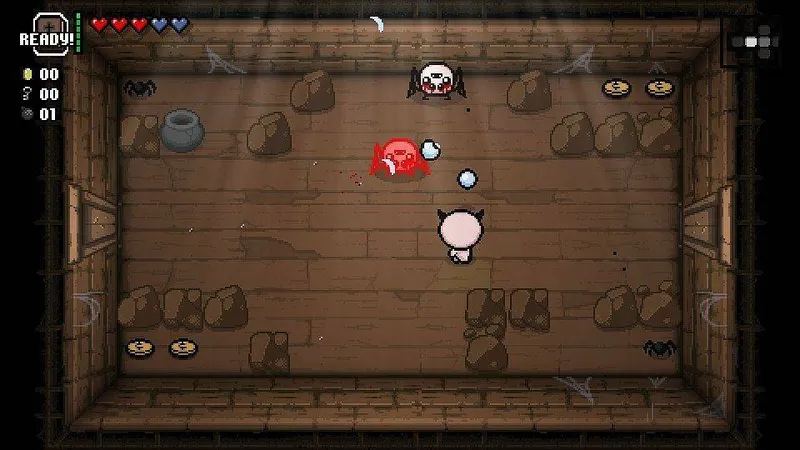 The Binding of Isaac: Rebirth