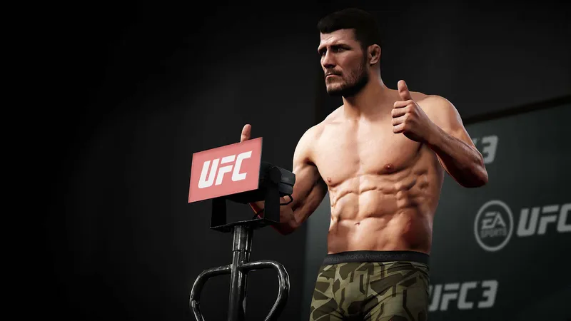 UFC 3