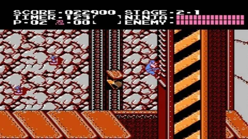 Ninja Gaiden