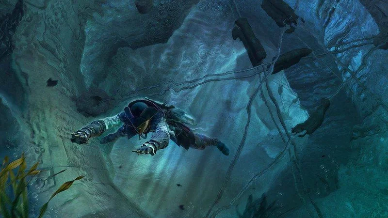 Assassin's Creed III: Liberation