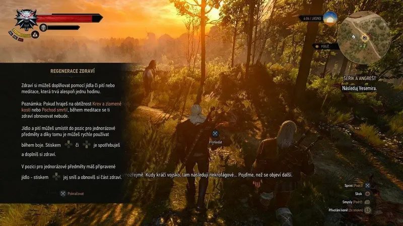 Zaklínač 3: Divoký hon