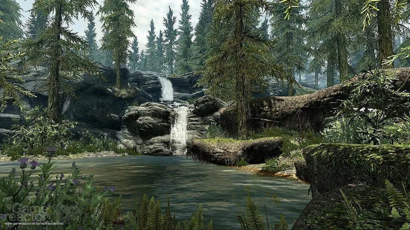 The Elder Scrolls V: Skyrim