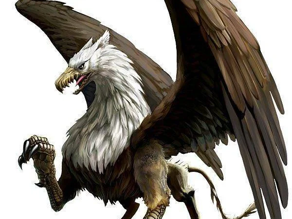 Capcom se zatím nerozhodnul, jestli vydá Dragon's Dogma Quest v Evropě