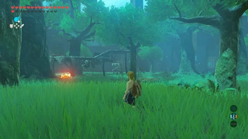 Přiblíženo první rozšíření pro The Legend of Zelda: Breath of the Wild + obrázky