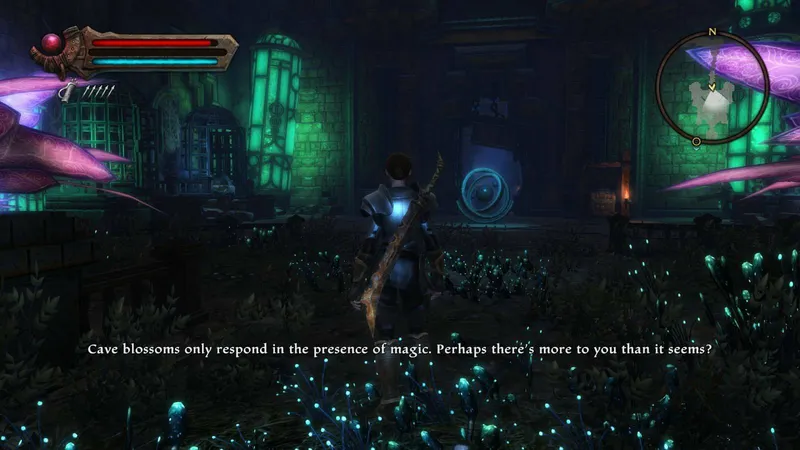 Kingdoms of Amalur: Re-Reckoning