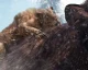 Far Cry Primal dostane sběratelskou edici
