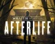 Hra Wraith: The Oblivion – Afterlife má datum vydání