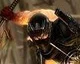 Ninja Gaiden 3 v březnu + obrázky z multiplayeru a videa